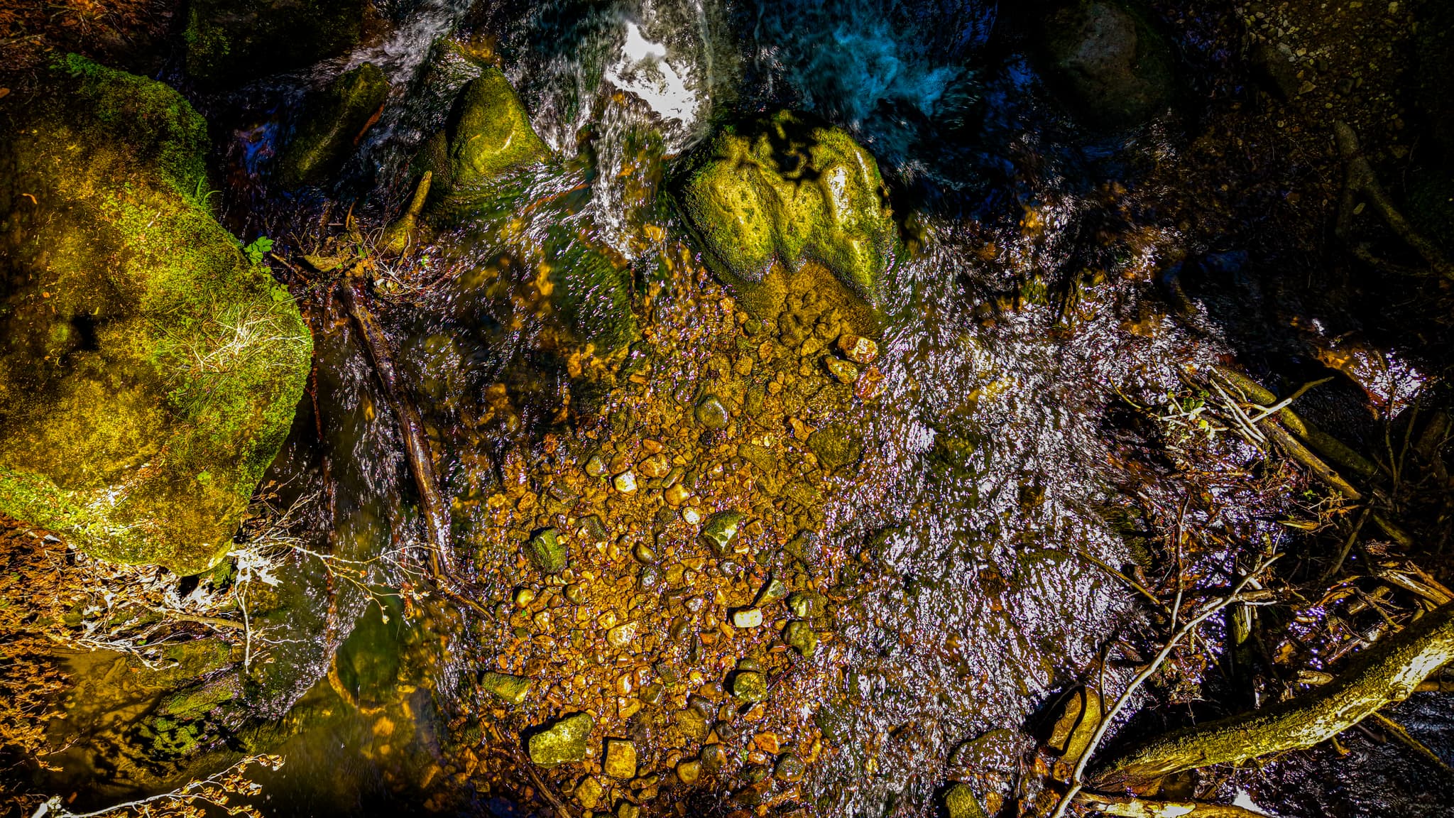 Streambed at very low altitude — pebbles, moss, a fallen branch, the current reading as a dark line through the stone. The Black Ernz has been sorting these rocks by size and weight for ten thousand years. From here it looks like a hand-drawn map.