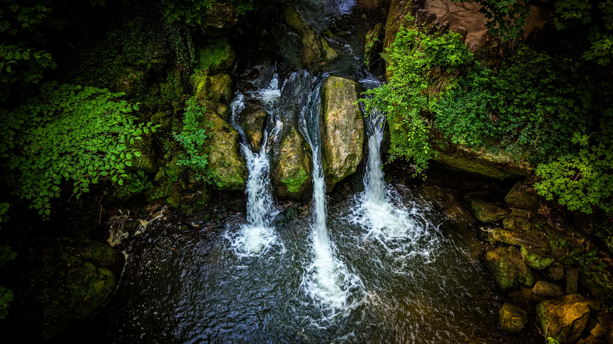 Müllerthal · The Stone Forest