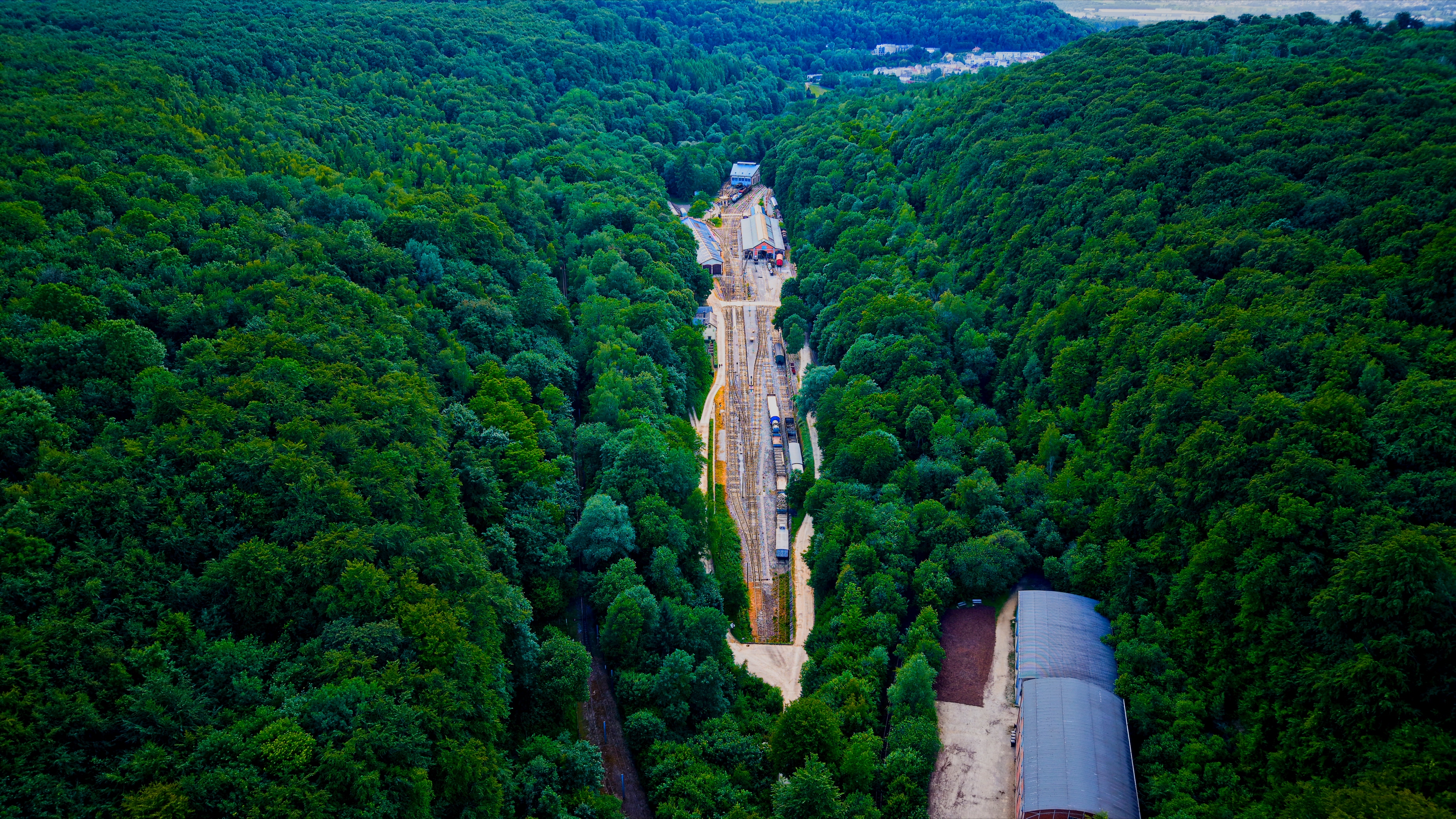 The Fond-de-Gras yard as a thin corridor in dense Minett forest