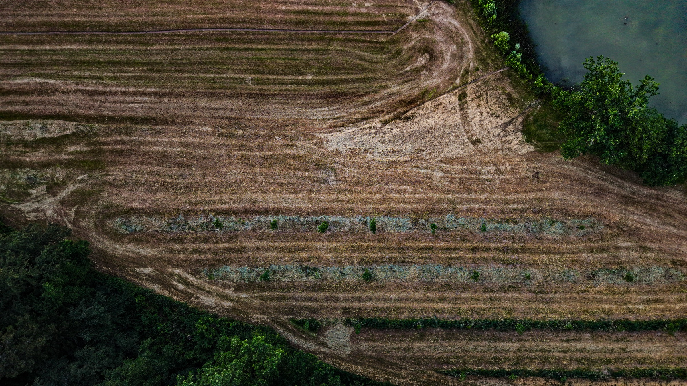 The agricultural fields to the south — strip crops, tractor lines, the geometry of land still in use at the city's edge. Short-term leases on good loam soil, in the path of the next planning cycle.
