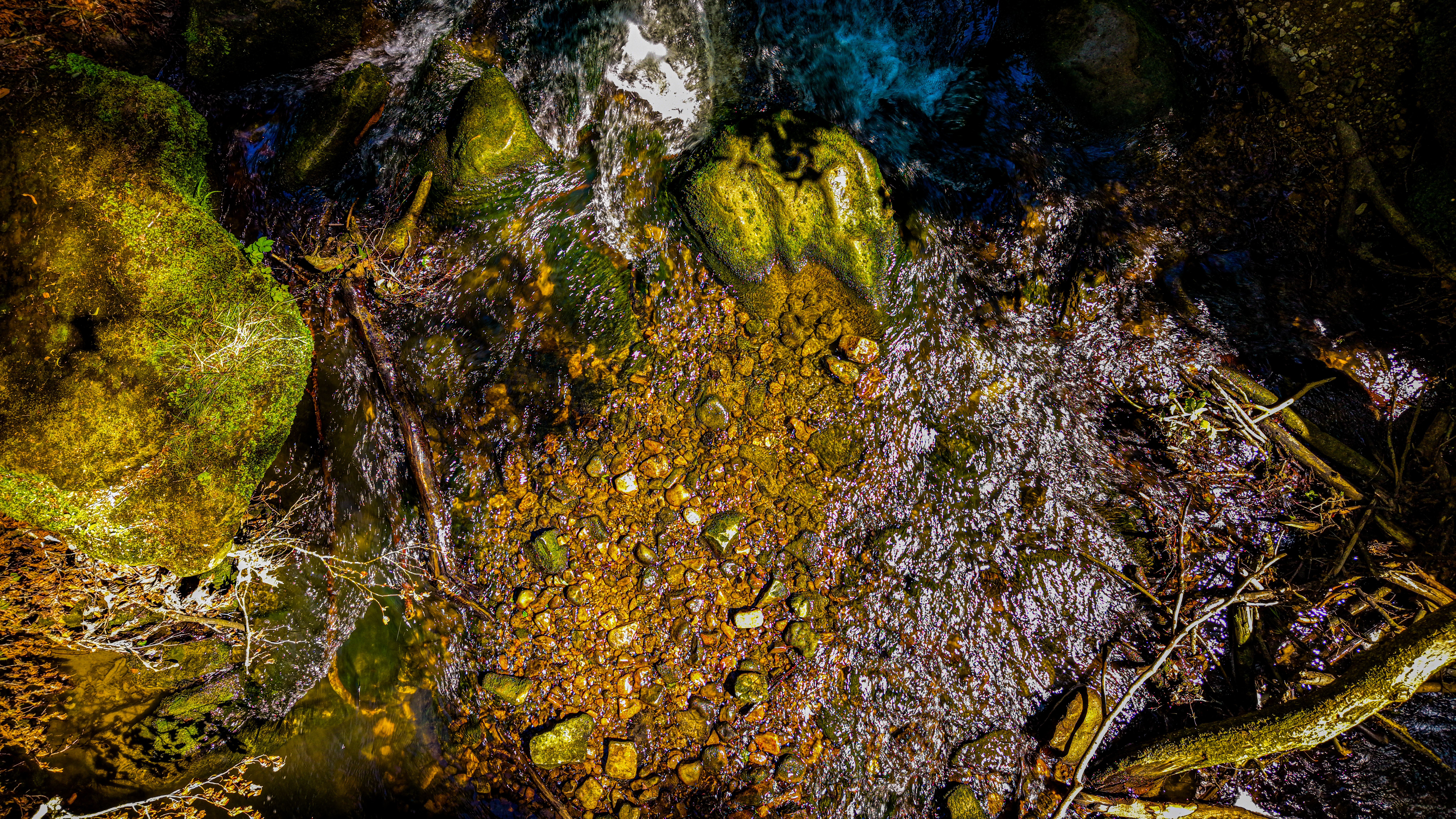 Streambed at very low altitude — pebbles, moss, a fallen branch, the current reading as a dark line through the stone. The Black Ernz has been sorting these rocks by size and weight for ten thousand years. From here it looks like a hand-drawn map.