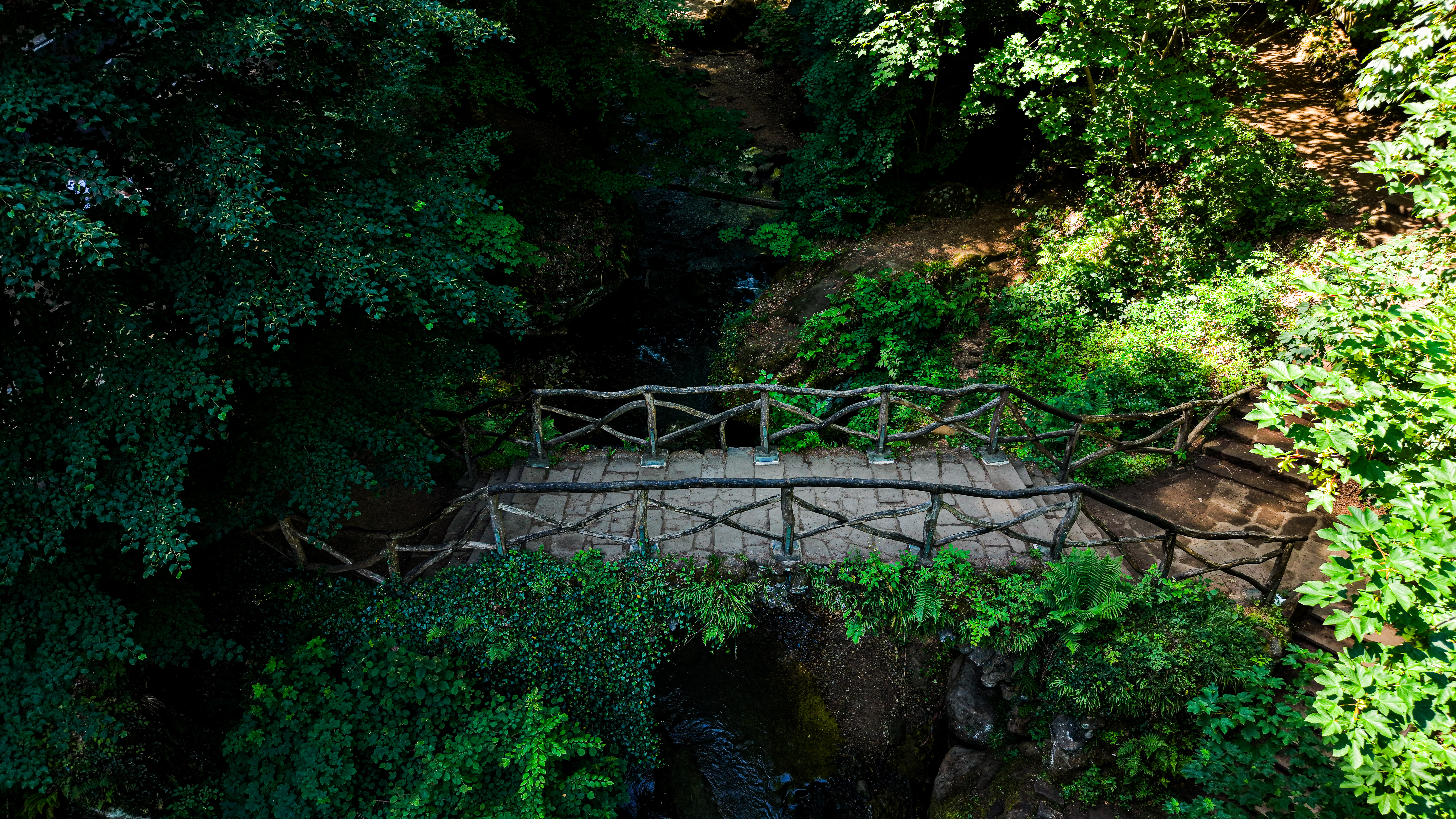 A rustic timber footbridge barely visible through the Müllerthal canopy — the gorge path crossing seen from low altitude