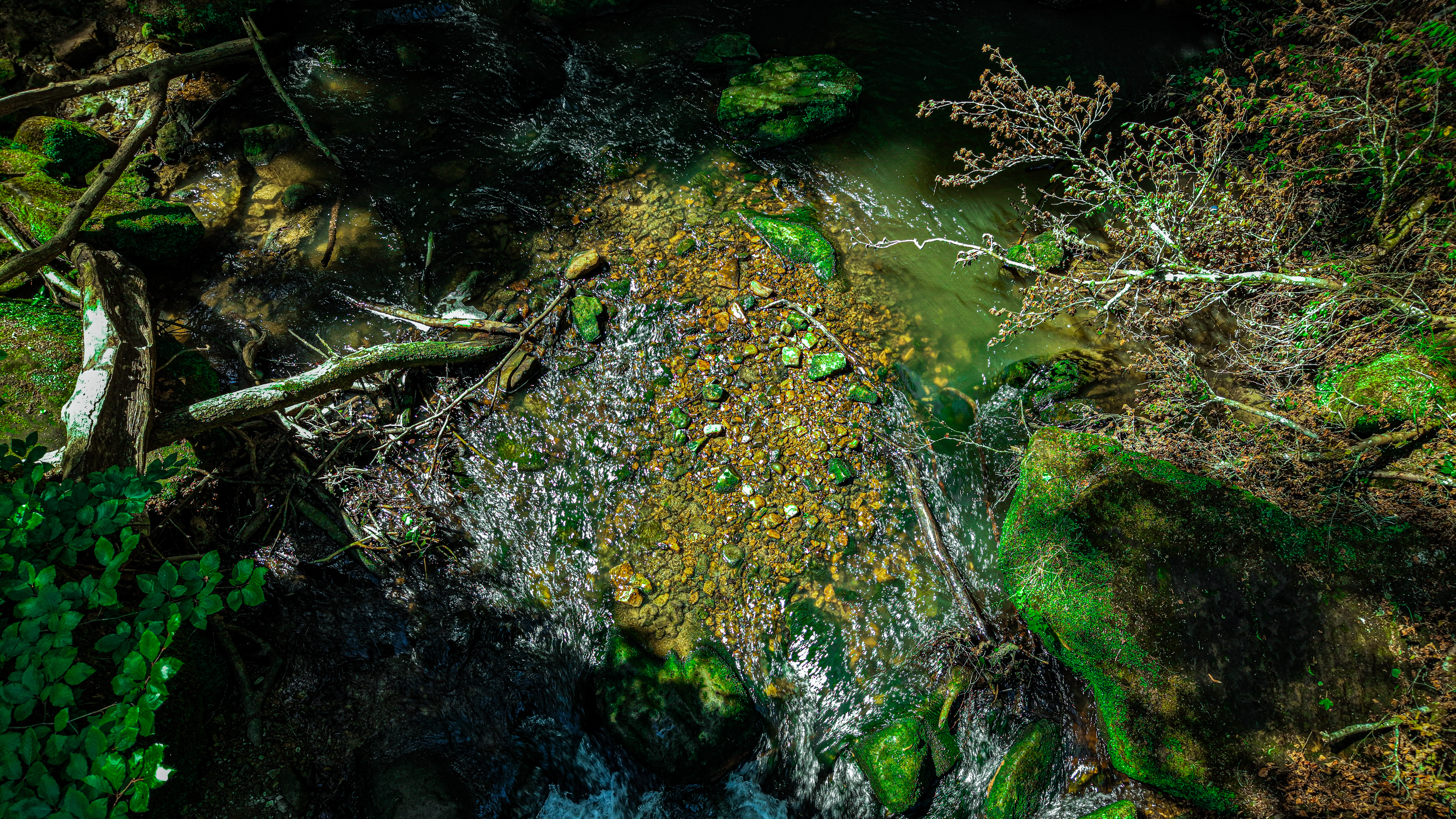 The Black Ernz in dappled afternoon light — fallen timber, golden pebbles, the current running amber in the shallows. The gorge filters the light before it reaches the water; by mid-afternoon the whole riverbed is the color of old honey.
