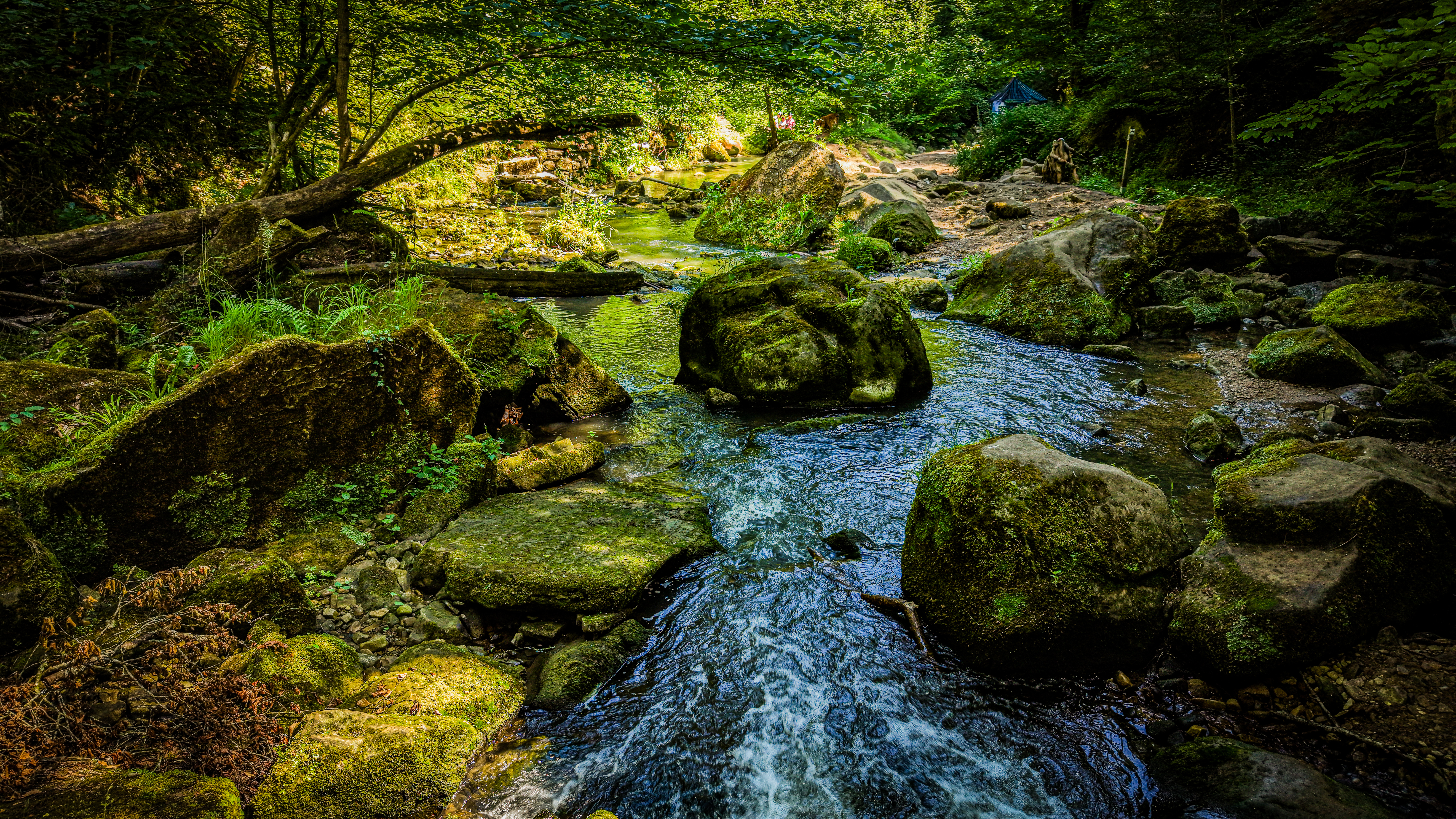 The Black Ernz at gorge level — large moss-covered sandstone boulders, the current threading between them. This is what the canopy hides from above. The drone cannot reach here. The walker can.