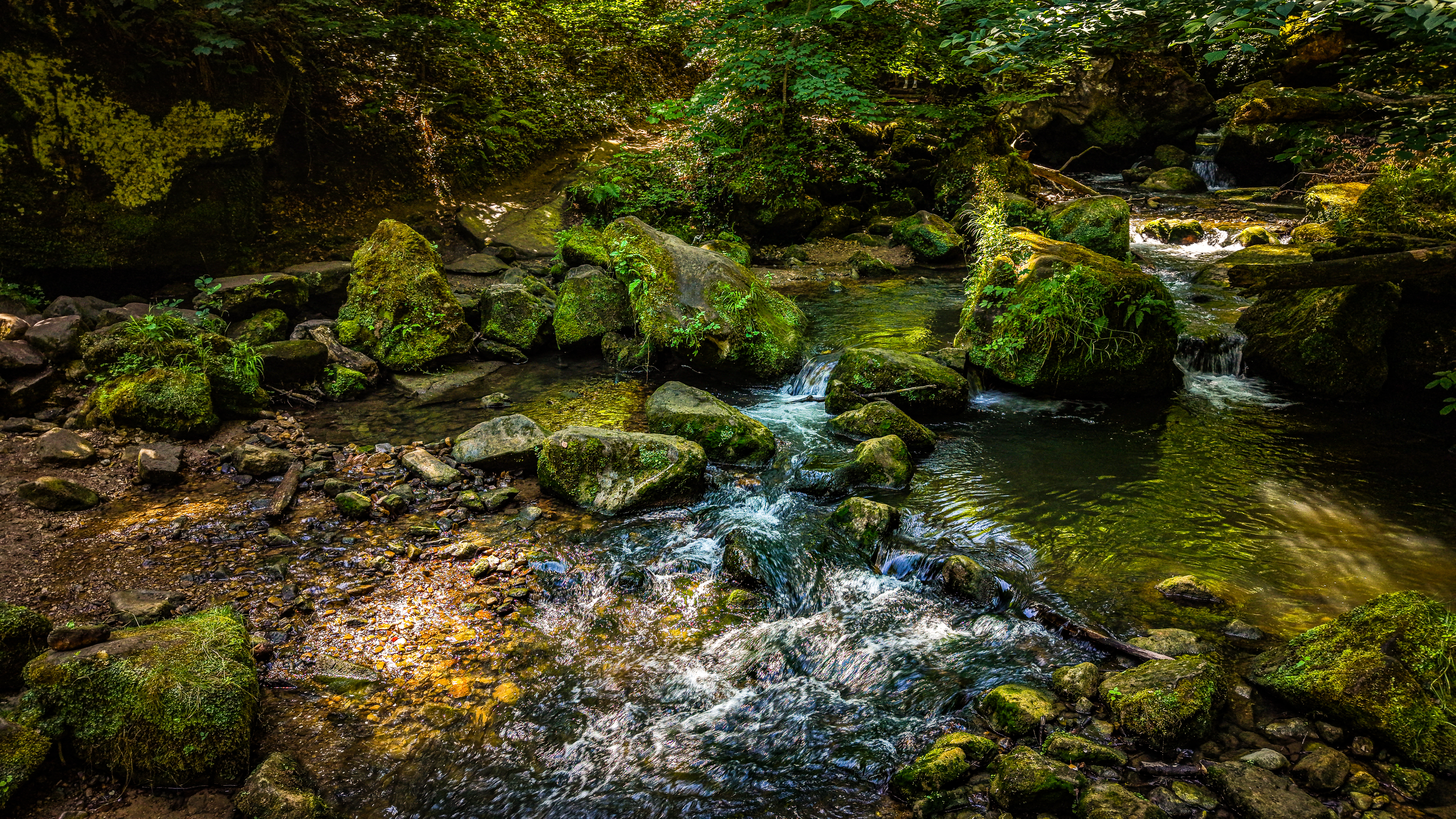 Multi-tier cascades over moss-covered sandstone — the Black Ernz stepping down through the gorge. The rock face has been polished and undercut over millennia; the moss establishes itself wherever the current slows enough to let it.
