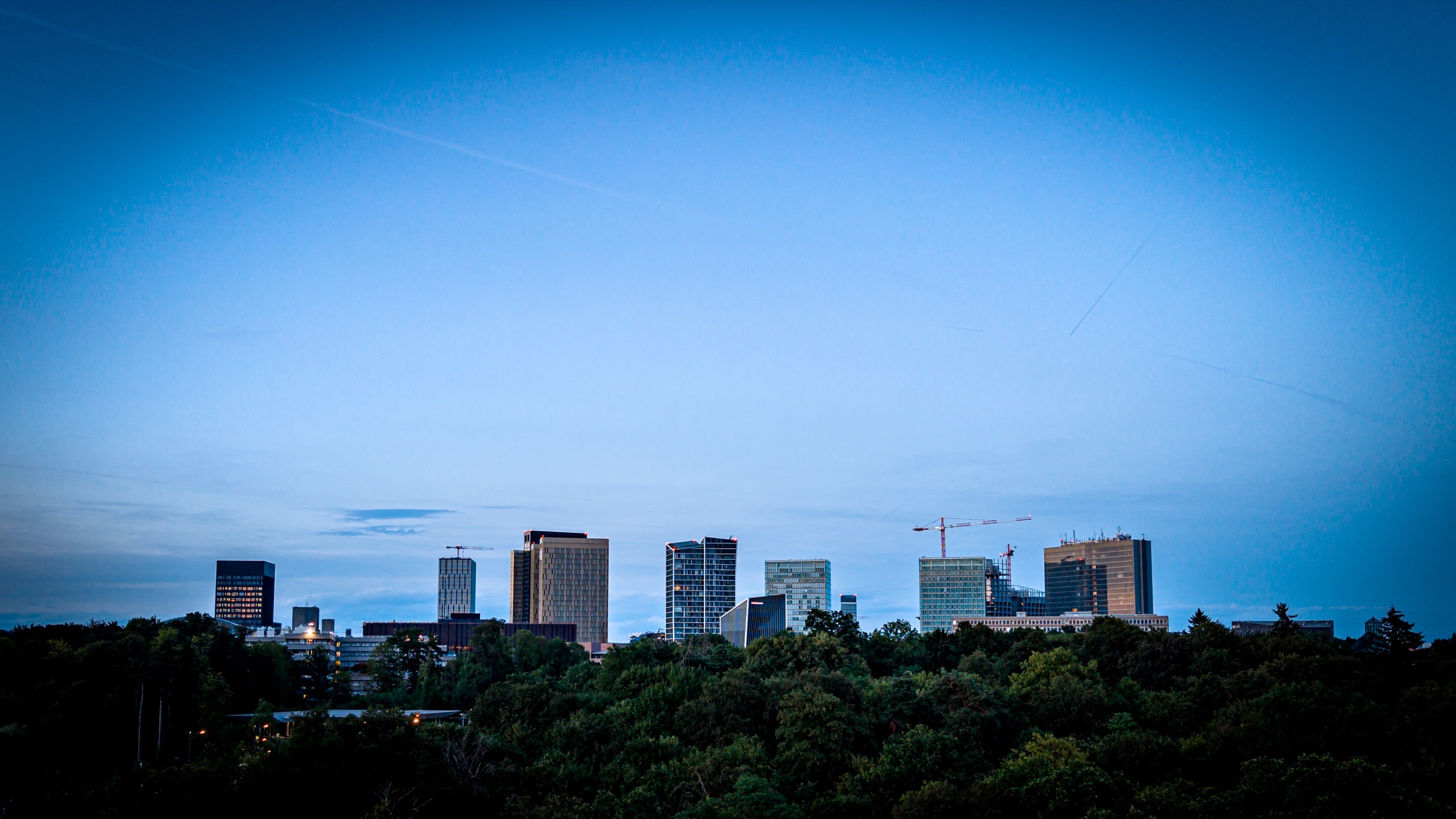 The Kirchberg plateau skyline at blue hour — Luxembourg's financial district towers rising above a dark treeline, cranes against a deep blue sky